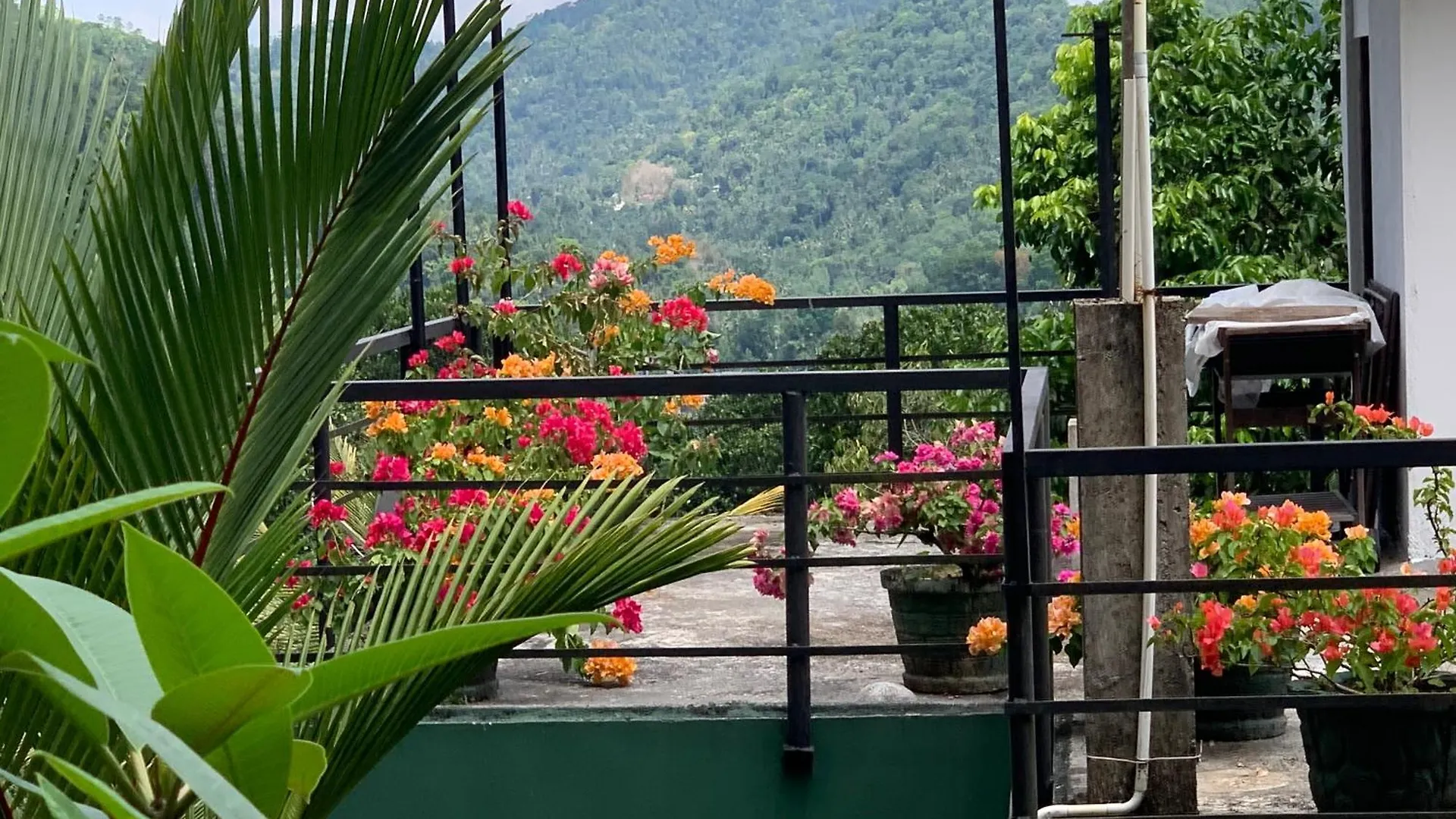 Séjour chez l'habitant Araliya Home Stay Kandy
