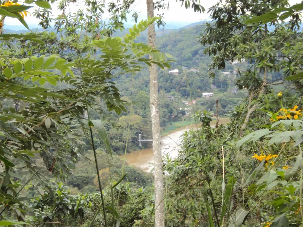 Séjour chez l'habitant Araliya Home Stay Kandy