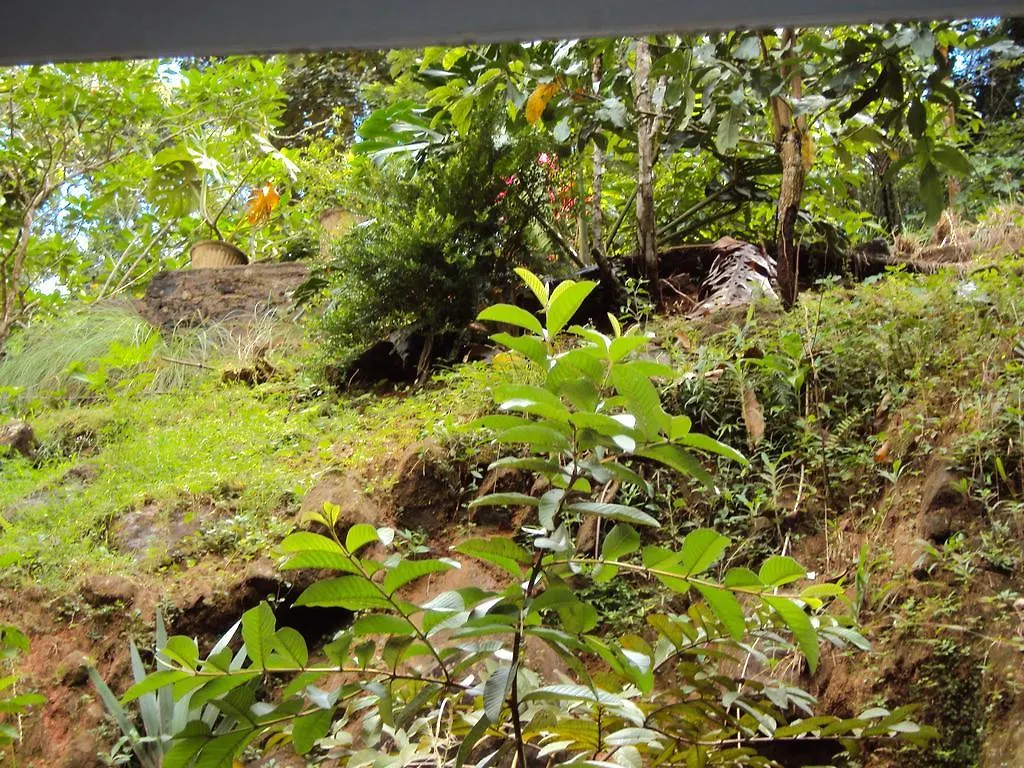 Araliya Home Stay Kandy Séjour chez l'habitant
