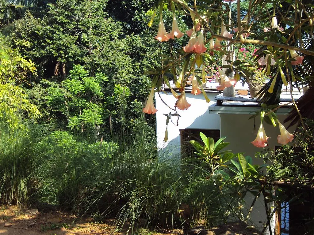 Araliya Home Stay Kandy 0*,  Sri Lanka