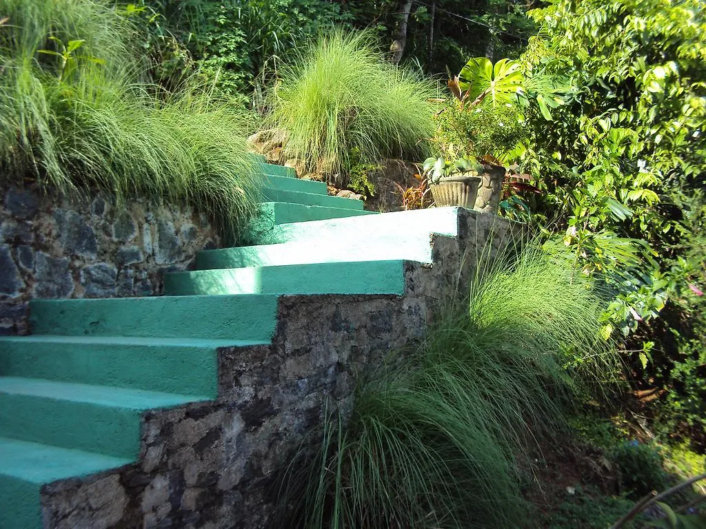 Araliya Home Stay Kandy