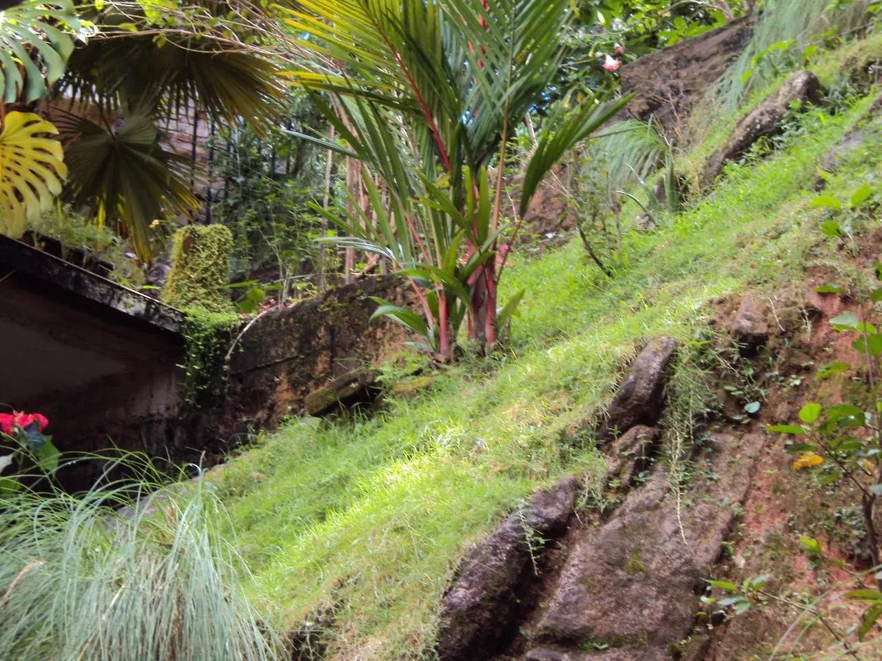 Araliya Home Stay Kandy Sri Lanka