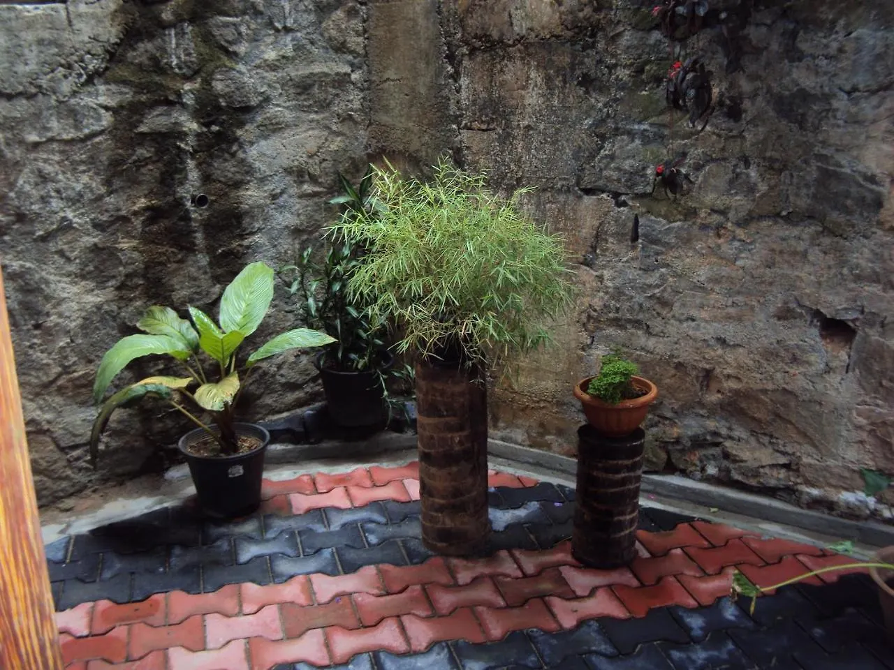 Araliya Home Stay Kandy 0*,