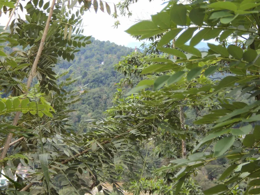 Araliya Home Stay Kandy