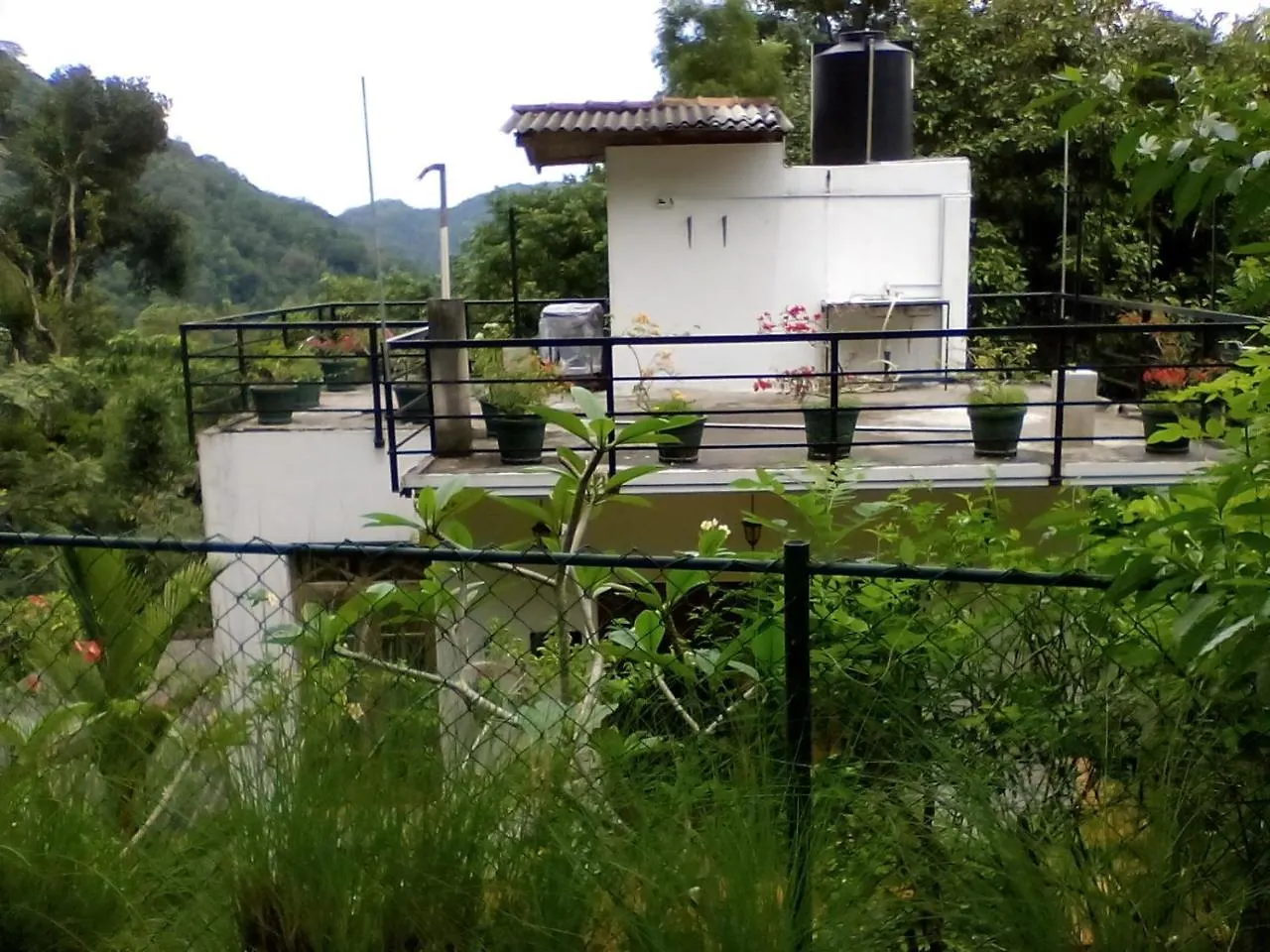 Araliya Home Stay Kandy Sri Lanka